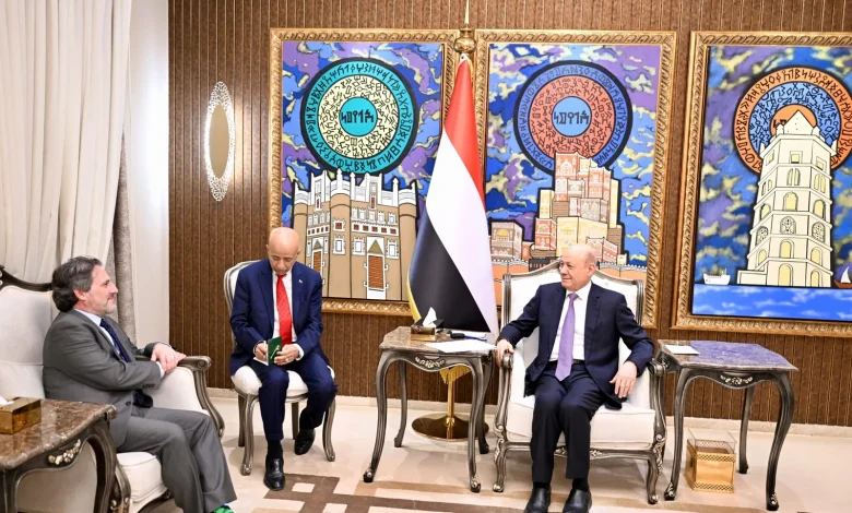 The Chairman of the Leadership Council stated that stability in the southern provinces exemplifies a promising Yemeni-Saudi partnership.