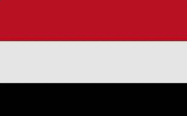 Yemen's government states that the success of the 2026 regional migration response plan requires genuine partnership in responsibilities.
